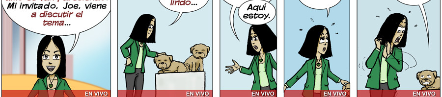 learn spanish BN_09 dog master